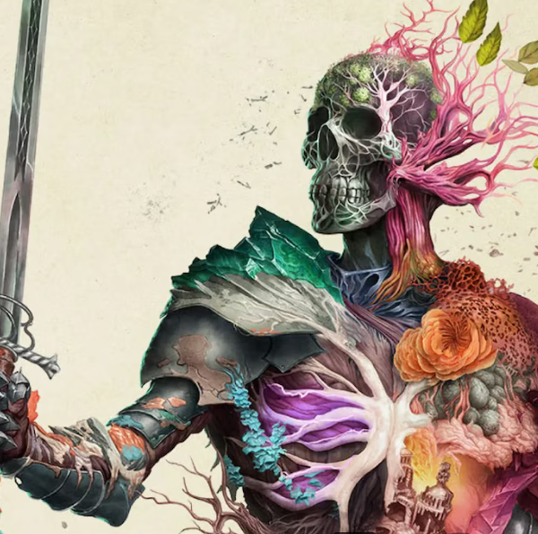 Avowed код активации